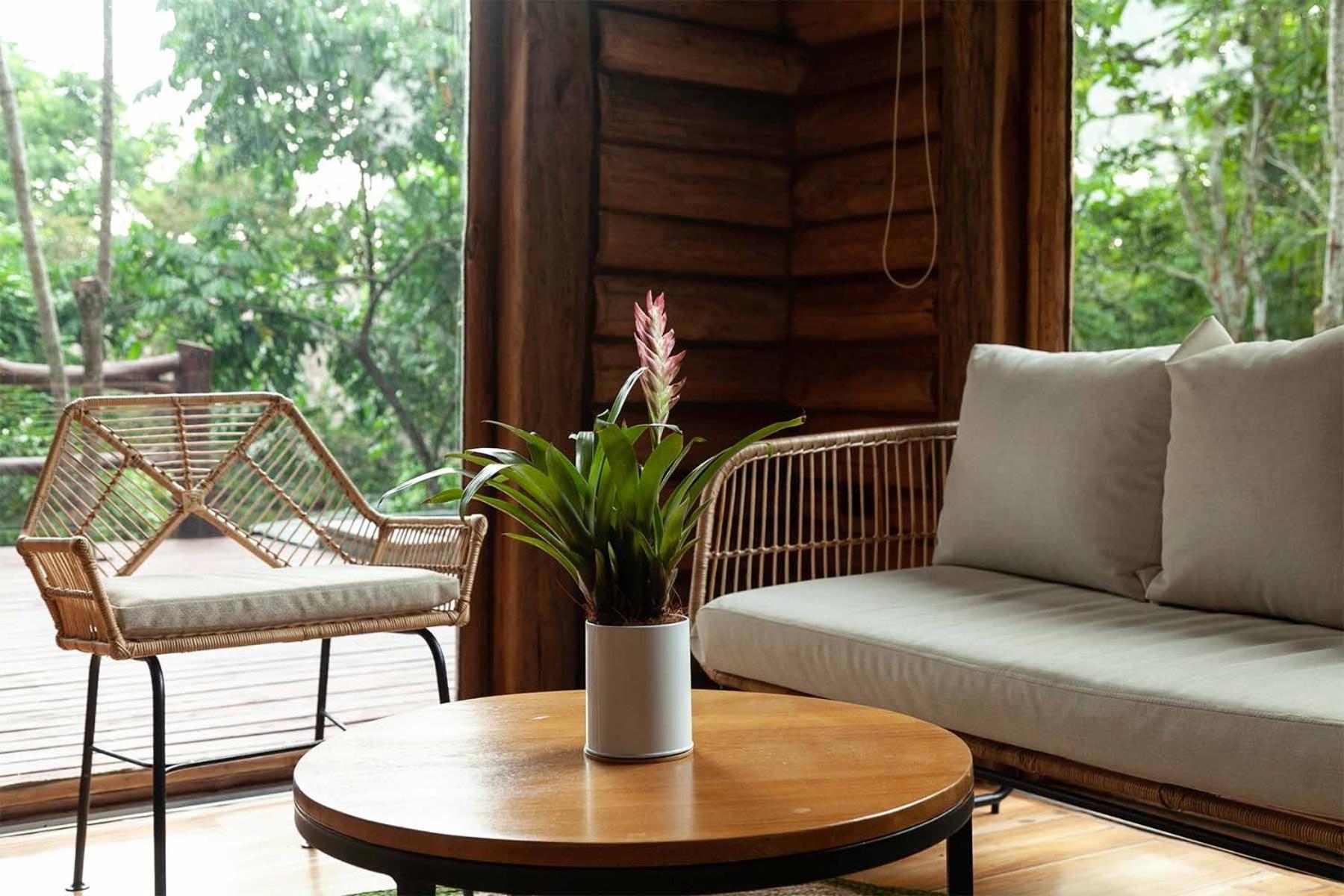 Hotel Boutique Maitta En Doradal Antioquia Dış mekan fotoğraf